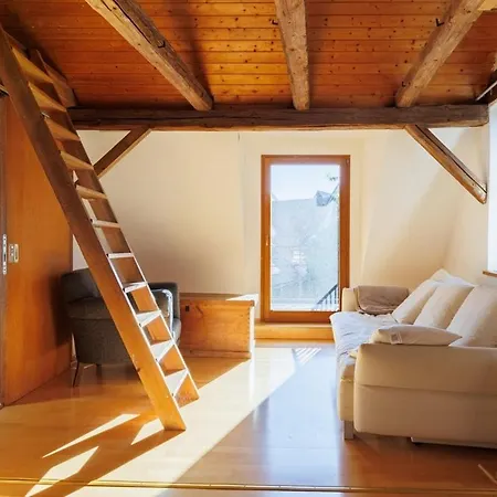 Haugstetter Schwarzwaldhaus Semesterbostad Neubulach