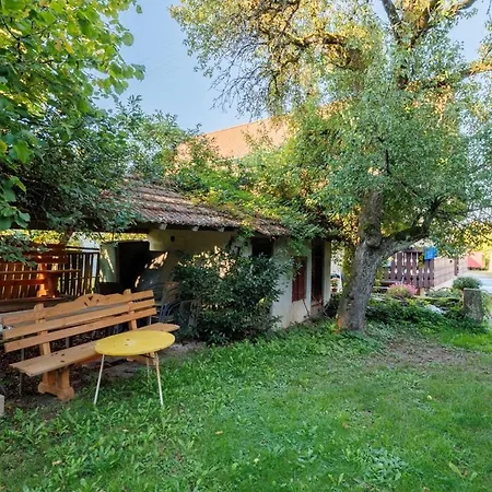 Haugstetter Schwarzwaldhaus Neubulach